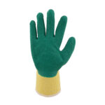 25.-Gloves-Green-Latex_Front.jpg